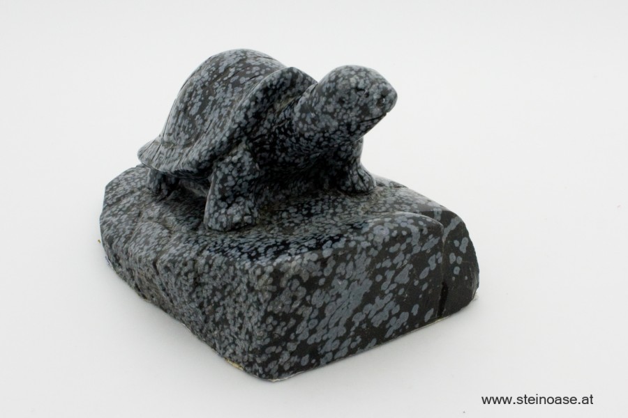 Schildkröte Obsidian